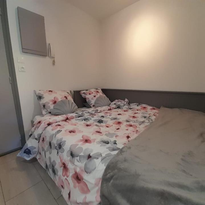 Petit Paradis Classe 3 Etoiles A 200M De La Plage! Terrasse-Wifi-Parking-Clim Сен-Мандріє-сюр-Мер Екстер'єр фото